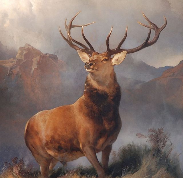 the-monarch-of-the-glen