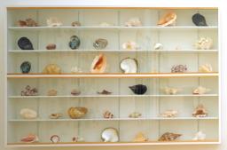 Forms Without Life 1991 by Damien Hirst born 1965